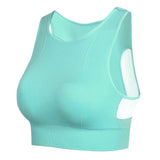 Seamless High Impact Sports Bra with Removable Cup